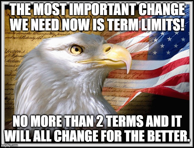 Term Limits Imgflip