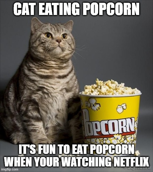 Cat eating popcorn Memes Imgflip