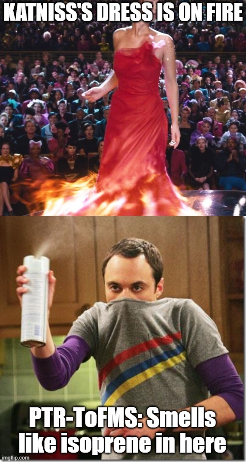 Image tagged in air freshener sheldon cooper Imgflip