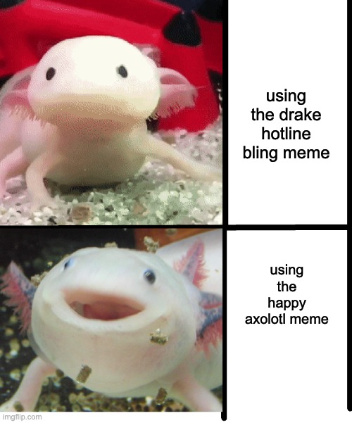 Image tagged in annoyed axolotl Imgflip