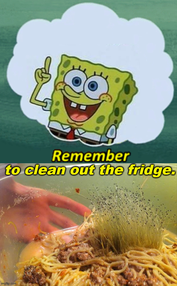 Reminder to clean the fridge of those leftovers you about. Imgflip