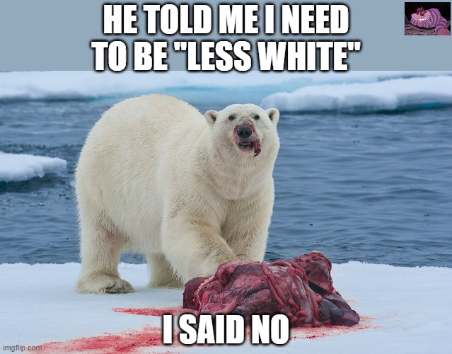 Image tagged in polar bear Imgflip