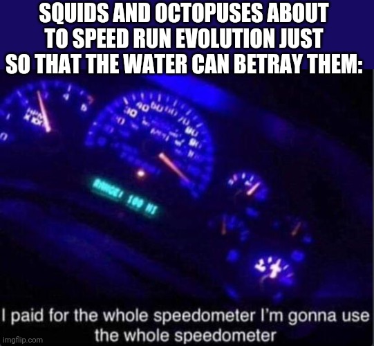 speedometer Memes & GIFs Imgflip