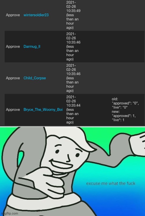 Image tagged in fallout boy excuse me wyf Imgflip