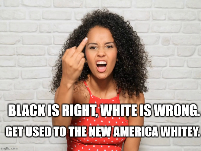 1950s Middle Finger Meme Imgflip