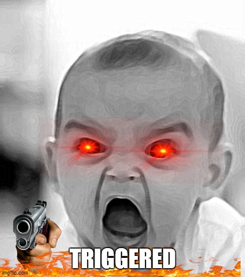 TRIGGERED BABY Imgflip