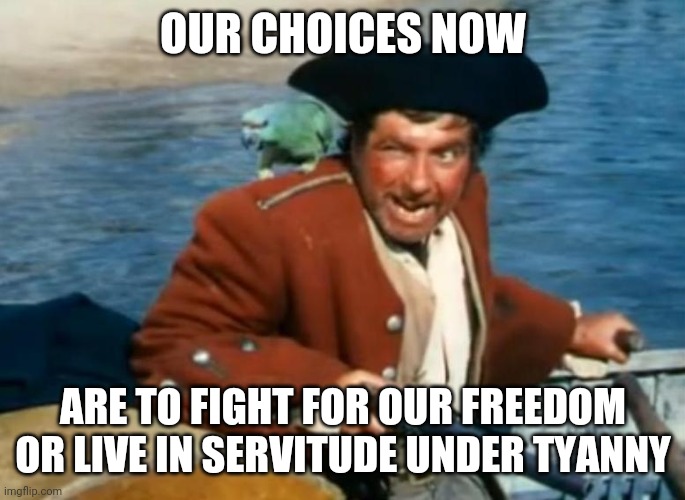 Freedom Imgflip