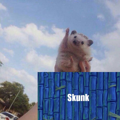Let's go! Skunk? Imgflip