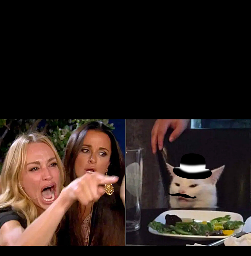 white cat table with hat Blank Template Imgflip