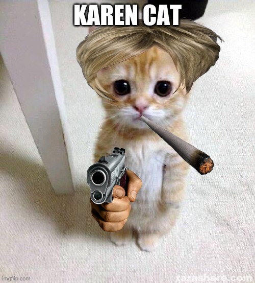 karen cat Imgflip