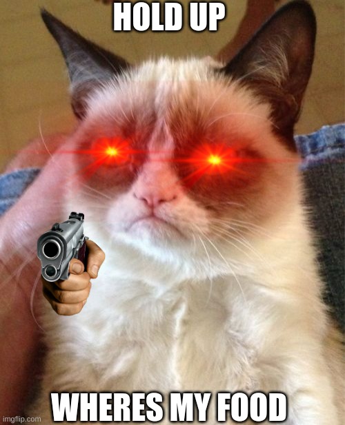 Grumpy Cat Meme Imgflip
