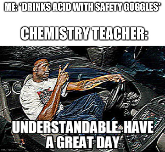 UNDERSTANDABLE, HAVE A GREAT DAY Imgflip