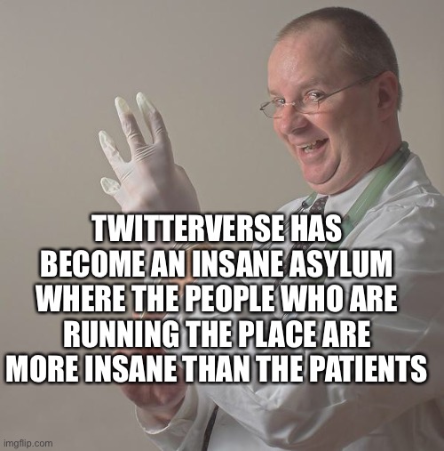 Twitterverse Insanity Imgflip