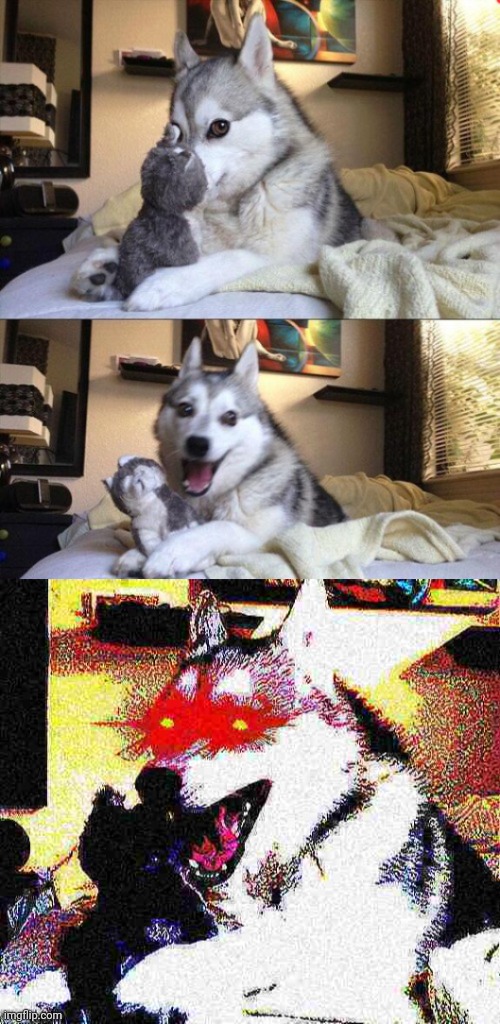 Bad joke dog deep fried Blank Template Imgflip