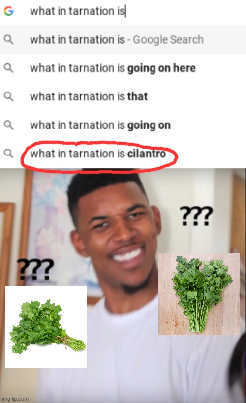 cilantro Memes & GIFs Imgflip