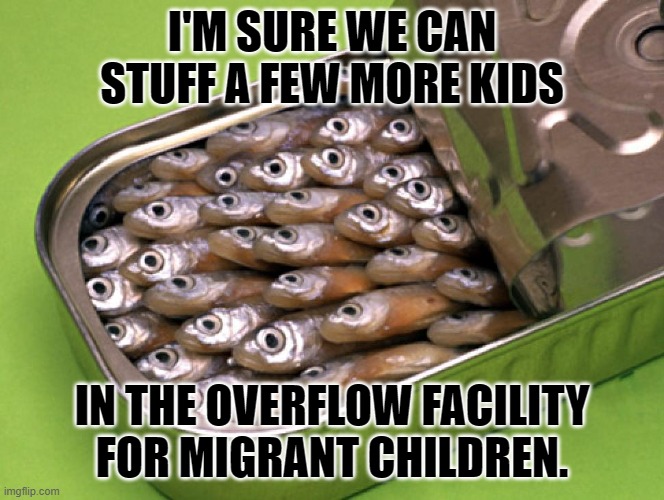 politics sardines Memes & GIFs Imgflip