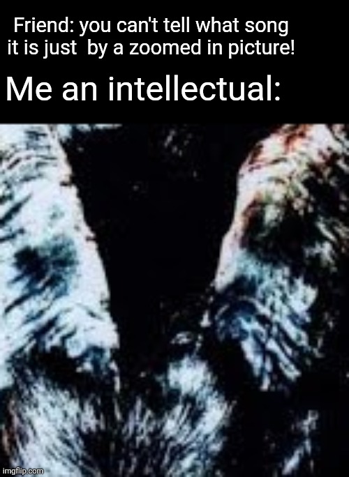 Someone please get this Imgflip