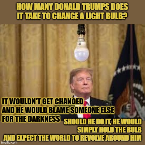 How many Donald Trumps does it take to change a light bulb? Imgflip