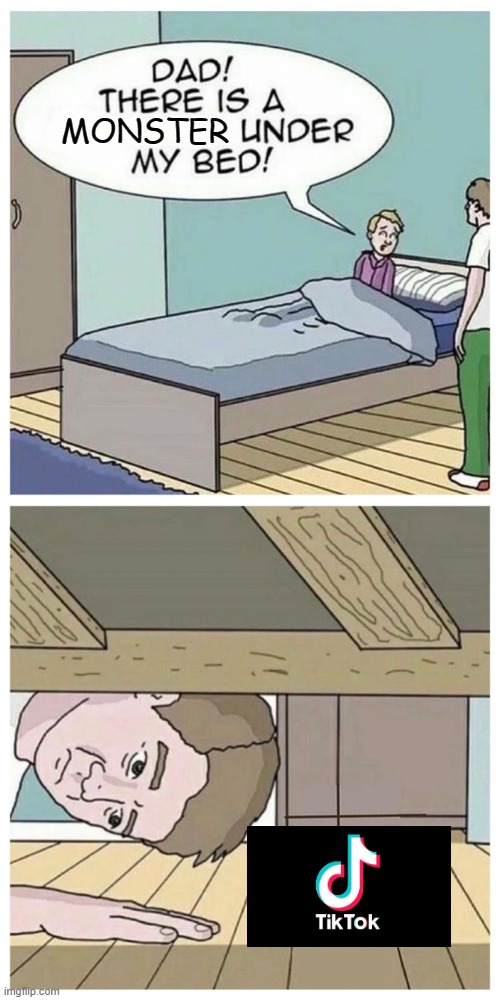 Tiktok is the monster Imgflip