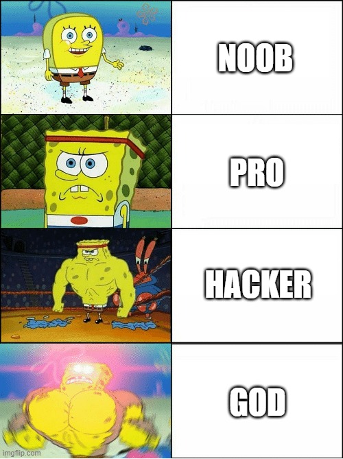 Minecraft noob vs pro vs hacker vs god Imgflip