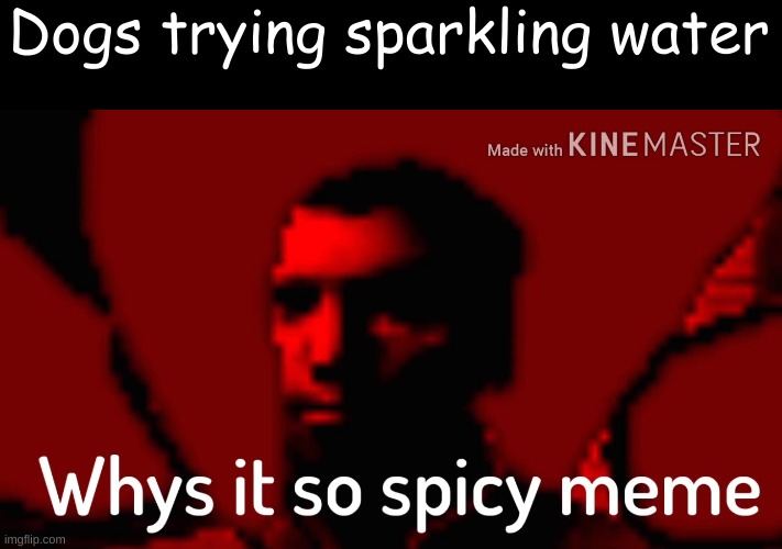 Why is it spicy? Imgflip