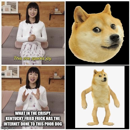 I love this little doge Imgflip