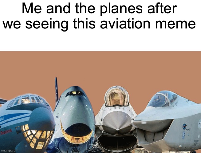 Me and the planes after we seeing this aviation meme Imgflip