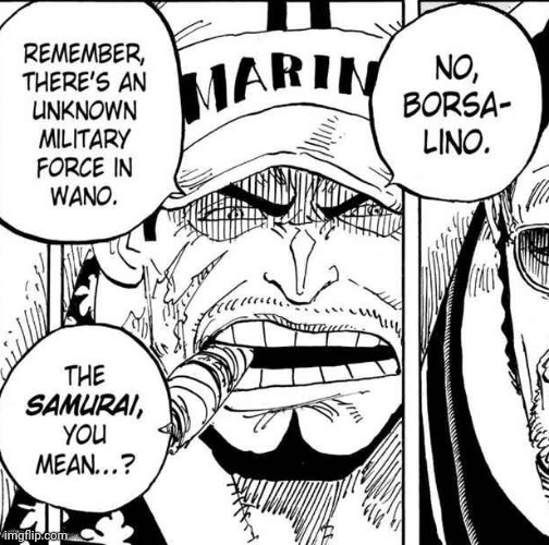 Questions & Mysteries What happend to “Zoro is going to focus/Fight