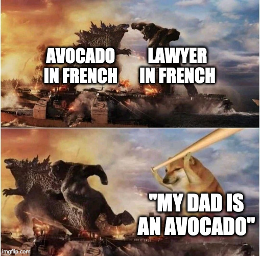 aVoCaT Imgflip