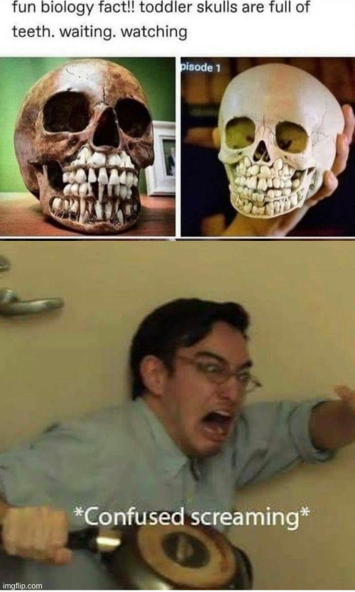 HOW DID THEY GET THE SKULLS!!!!!!! Imgflip