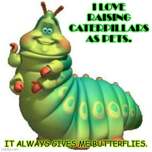 caterpillar Memes & GIFs Imgflip