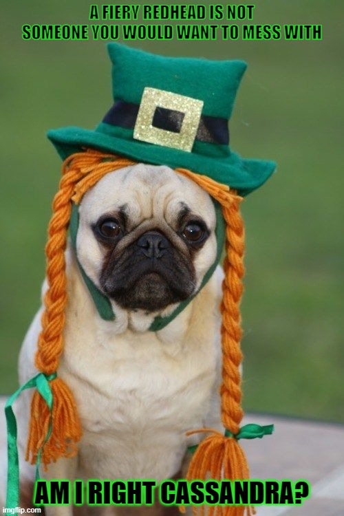 leprechaun Memes & GIFs Imgflip