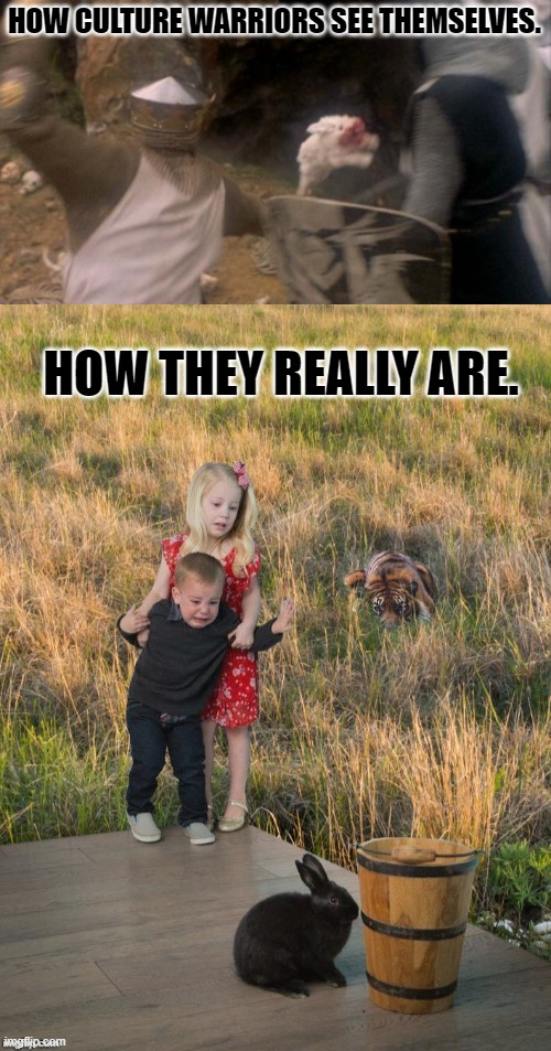 Focused on the harmless rabbit as the tiger prows. Imgflip