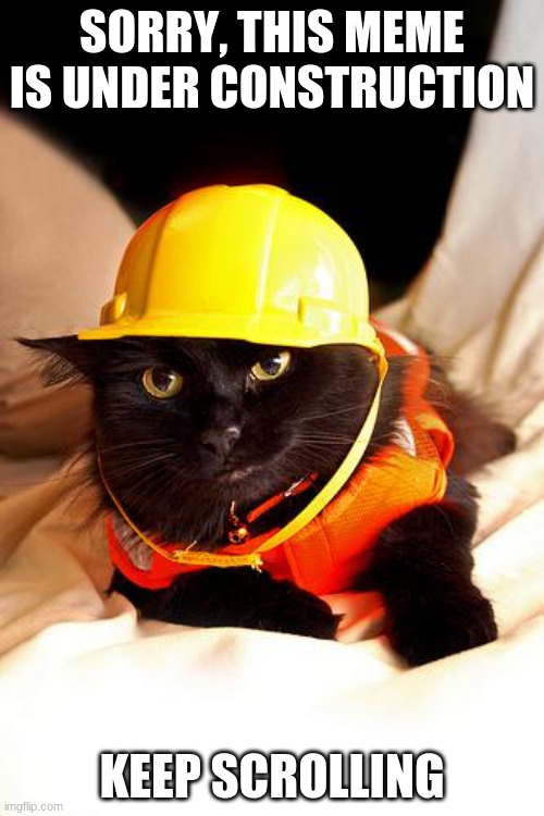 Construction Cat Memes Imgflip