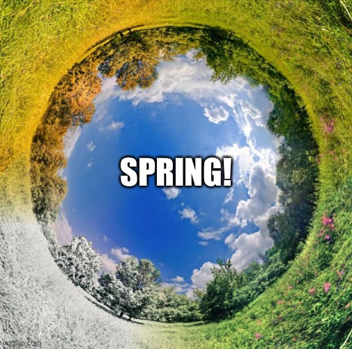 Spring Imgflip