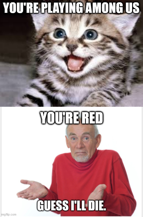 Cat Imgflip