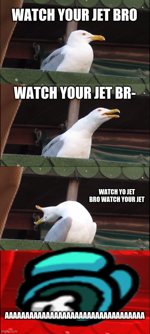 Inhaling Seagull Meme Imgflip