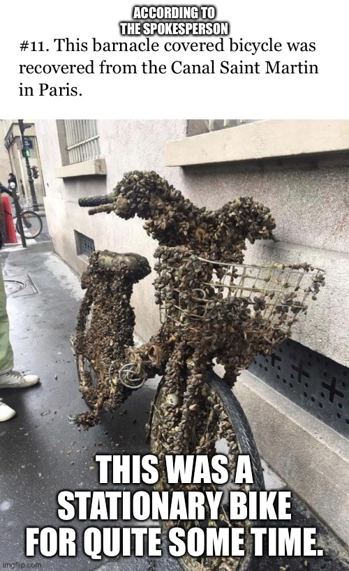 Image tagged in a stationary bike Imgflip