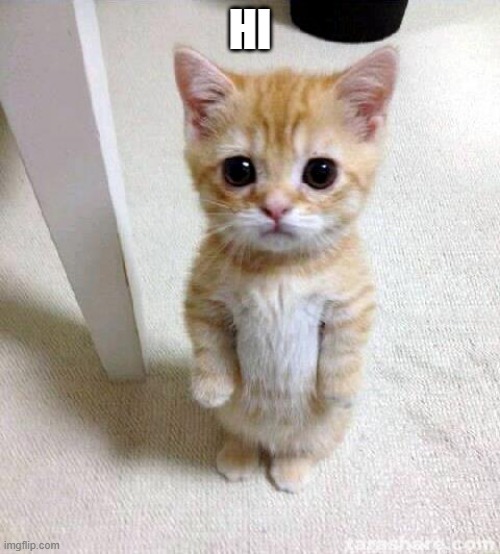 Hi Imgflip