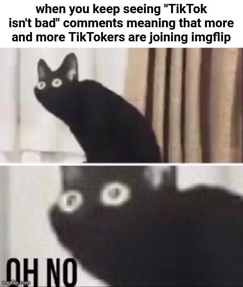 They're raiding imgflip! Imgflip
