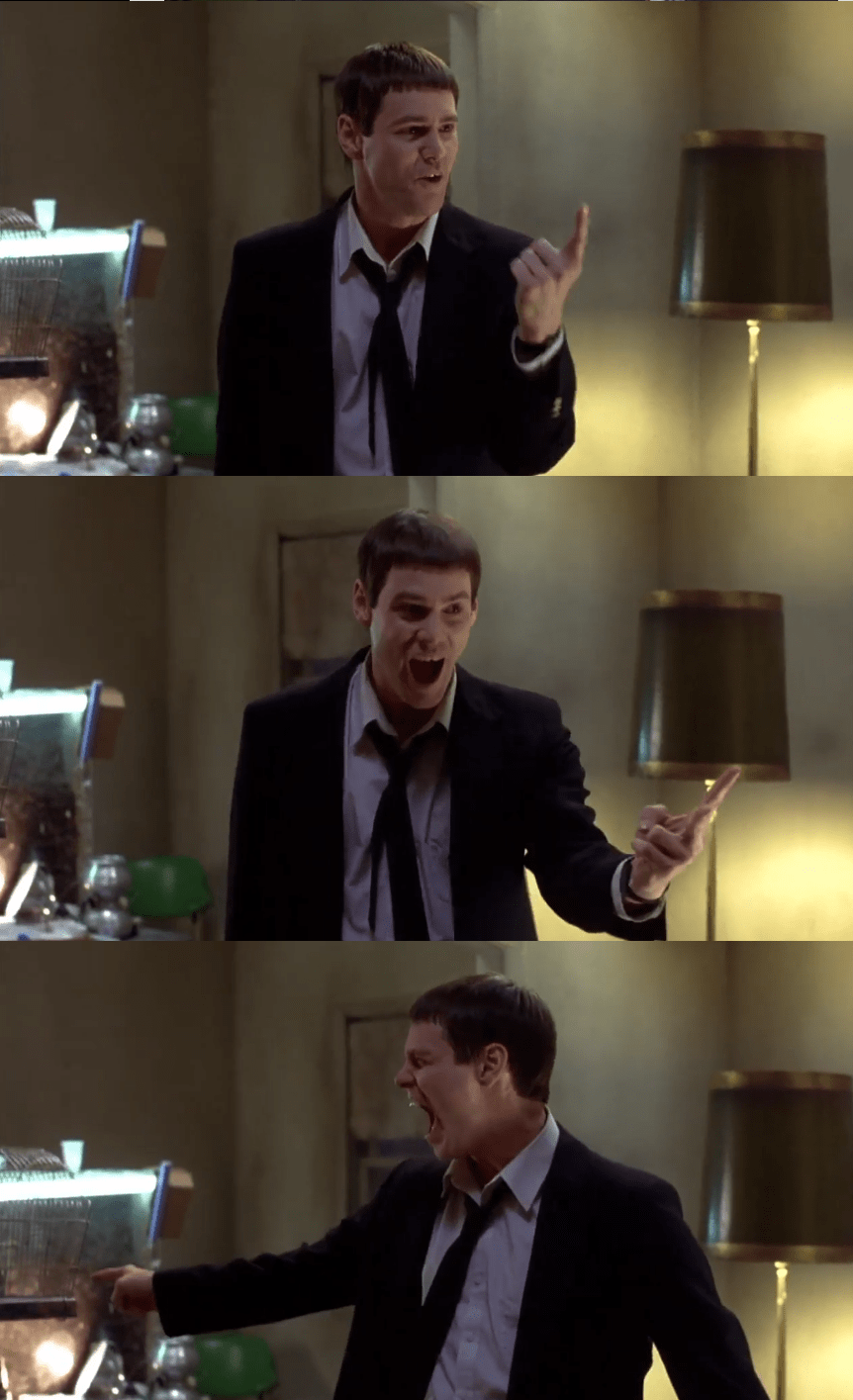 Dumb And Dumber Meme Pets Heads