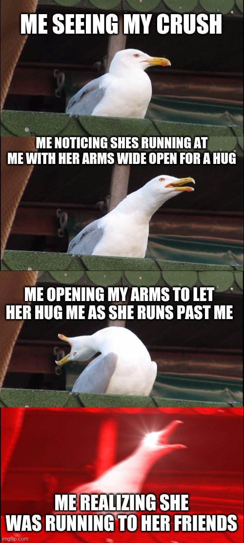 Inhaling Seagull Meme Imgflip