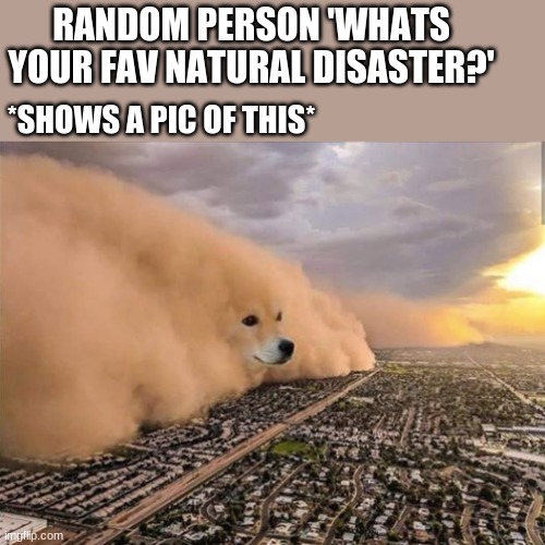 Dust Doge Storm Imgflip