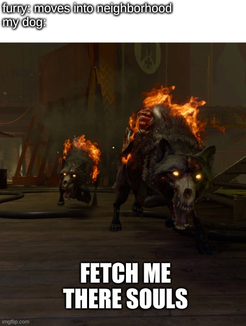 (hellhound noises intensify) Imgflip
