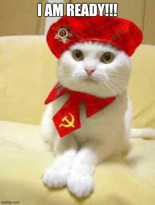 Communist cat Imgflip