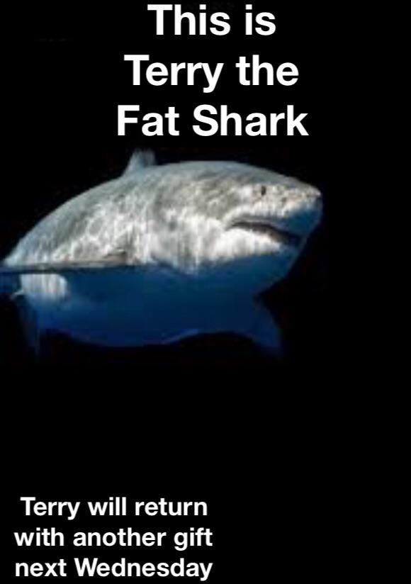 Terry the Fat Shark is back! Blank Template Imgflip