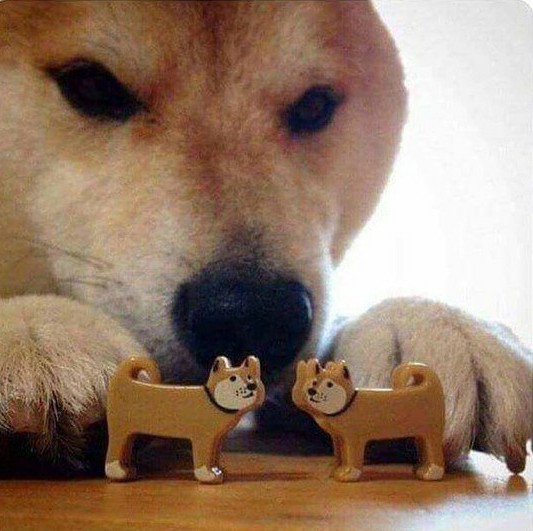 Doge dog playing with toy dogs Blank Template Imgflip