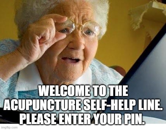 old lady at computer Memes Imgflip