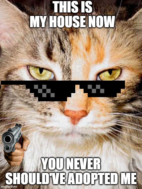 This is my house Imgflip