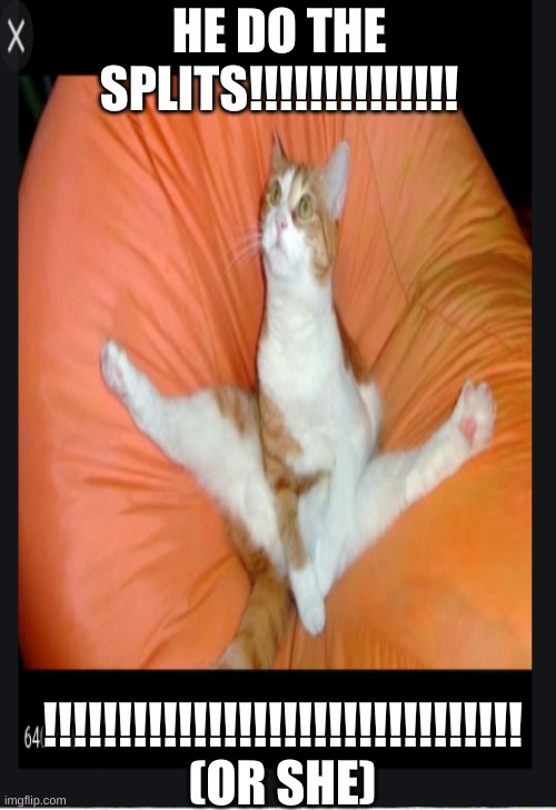 the splits Imgflip